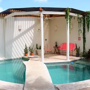 Bed&Breakfast Pecarí